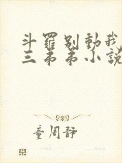 斗罗别动我的唐三弟弟小说封面