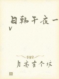 日韩午夜一级av