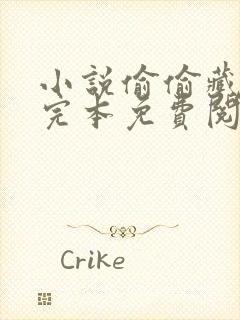 小说偷偷藏不住完本免费阅读