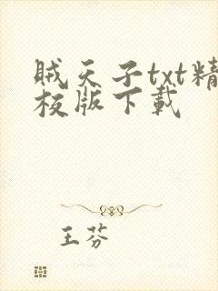 贼天子txt精校版下载