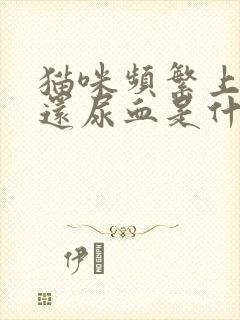 猫咪频繁上厕所还尿血是什么原因封面