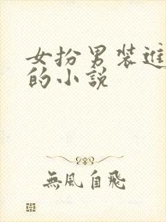 女扮男装进男校的小说封面