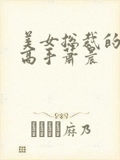 美女总裁的贴身高手萧晨封面