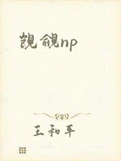 觊觎np