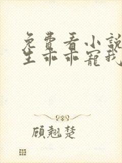 免费看小说霍先生乖乖宠我