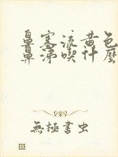 鼻塞流黄色粘稠鼻涕吃什么药