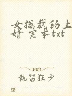 女总裁的上门龙婿 完本txt