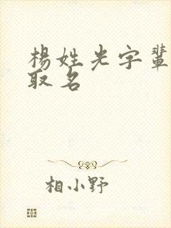 杨姓光字辈男孩取名