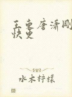 王东唐潇刚刚最快更