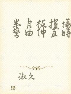 半月板损伤膝盖弯曲伸直时嘎吱响