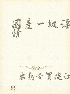 国产一级淫片详情