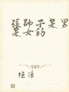 张帅子是男的还是女的