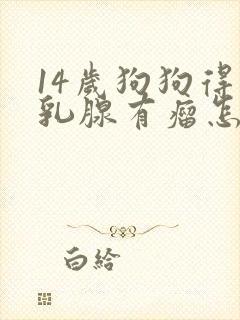 14岁狗狗得了乳腺有瘤怎么办