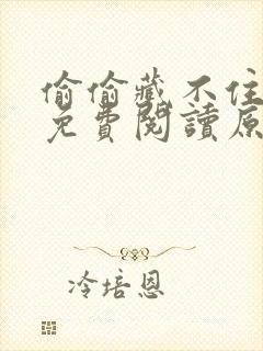 偷偷藏不住小说免费阅读原文