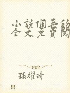 小说佣兵的战争全文免费阅读全文封面