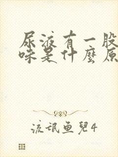 尿液有一股腥臭味是什么原因女性