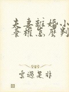 夫妻离婚小孩抚养权怎么判抚养费怎么出