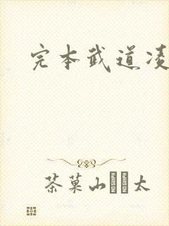 完本武道凌天封面