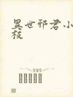 异世邪君小说精校封面