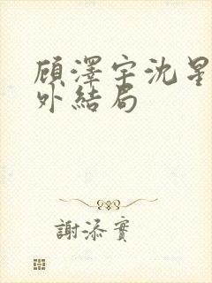 顾泽宇沈星晚番外结局封面