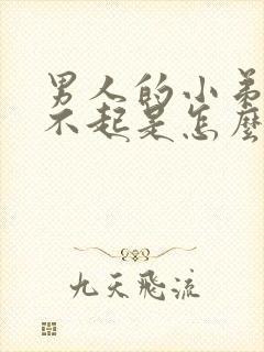 男人的小弟弟硬不起是怎么回事