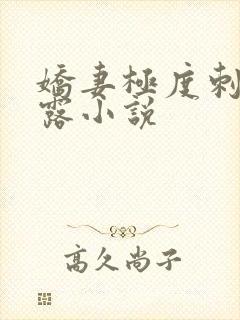 娇妻极度刺激暴露小说