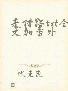 走错路txt全文加番外