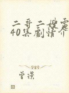 二哥二嫂电视剧40集剧情介绍