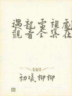 遇龙电视剧免费观看全集在线播放封面