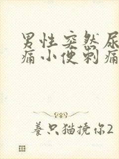 男性突然尿道疼痛小便刺痛