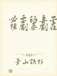 必要的妻子 电视剧泰剧在线观看免费