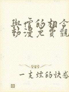 与僧的相合之夜动漫免费观看完整版