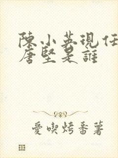 陈小英现任丈夫唐坚是谁封面