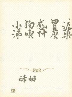 小狗感冒流清鼻涕吃什么药