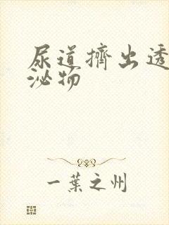 尿道挤出透明分泌物