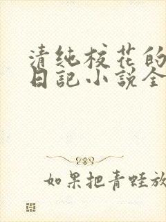 清纯校花的堕落日记小说全文免费阅读
