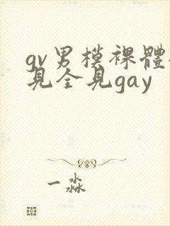 gv男模裸体全见全见gay