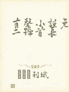 有声小说免费听二号首长