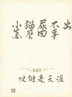 小猫尿不出尿是怎么回事