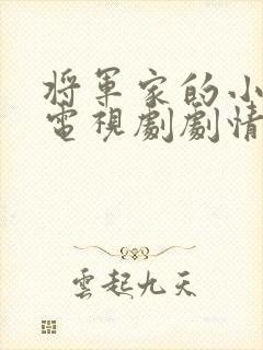 将军家的小娘子电视剧剧情