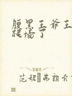 腹黑王爷王妃又爬墙了