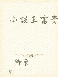 小说王富贵陈芸