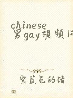 chinese男gay视频网站