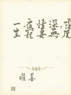 一夜情深,霍先生宠妻无度小说全部章节