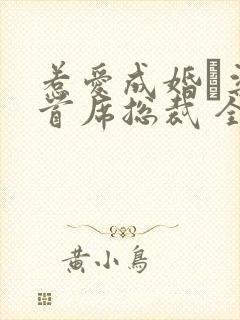 惹爱成婚·染指首席总裁 全文阅读