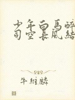 少年白马醉春风司空长风结局封面