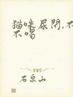 猫咪尿闭,不吃不喝