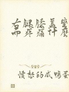 右腿膝盖弯曲里面疼痛什么原因封面