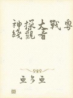 神探大战粤语在线观看