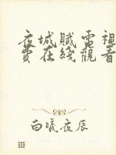 夜城赋电视剧免费在线观看封面